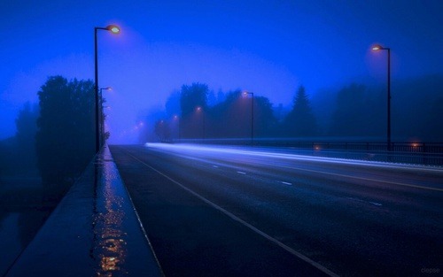 Archillect tweet media