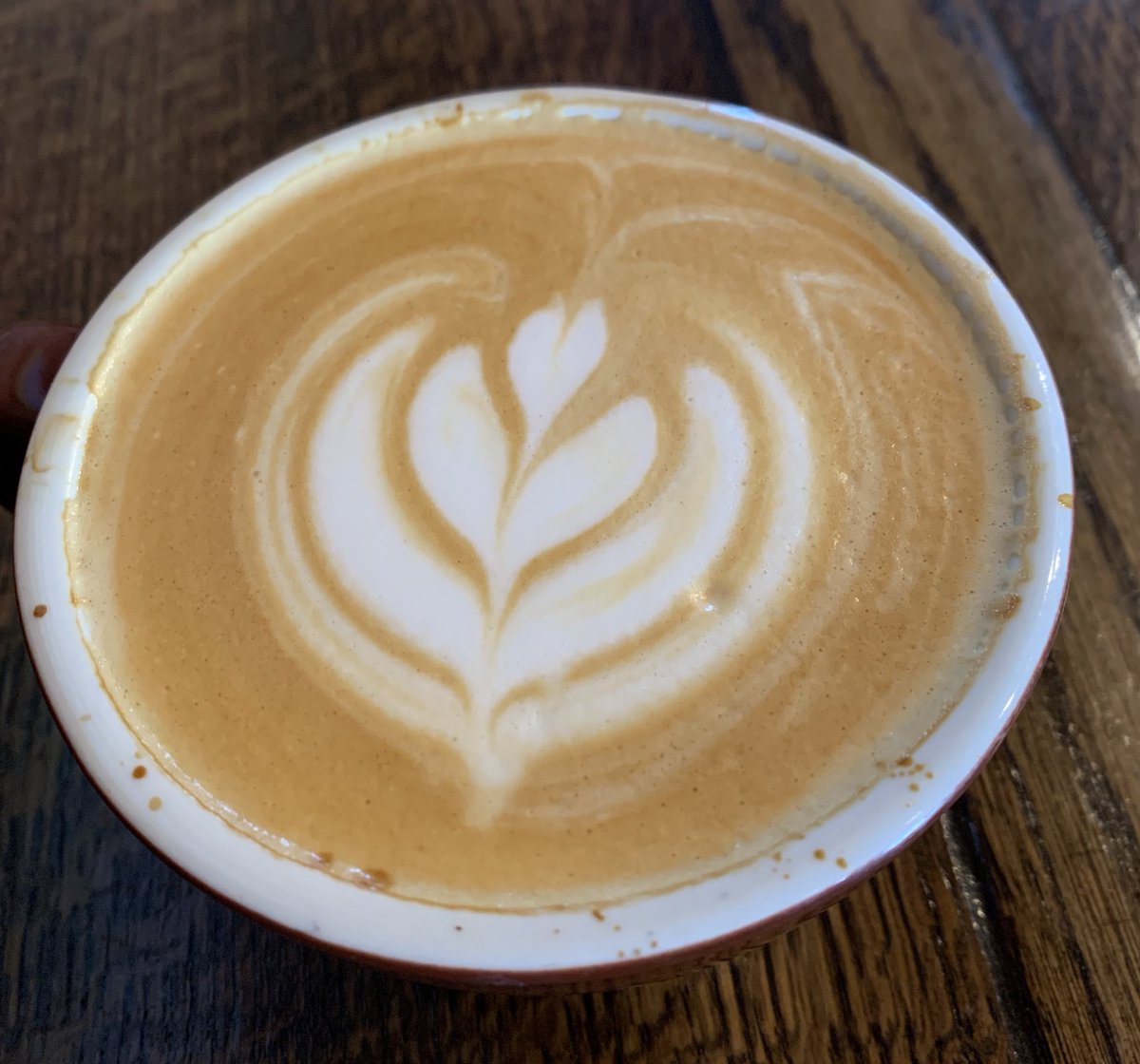 hulkbrarian's tweet photo. It’s no bear but it’s still awesome! #LatteArt #CoffeeGood #yummy #Sugarbowl https://t.co/Mm2FxyhsJj