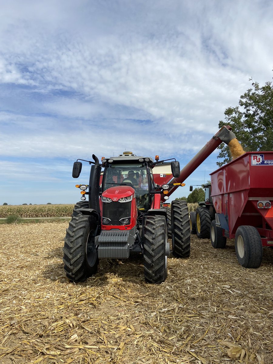 E_k_w's tweet photo. It’s that season again #Harvestime 🌽🌾 https://t.co/SJ6tQMLJXx