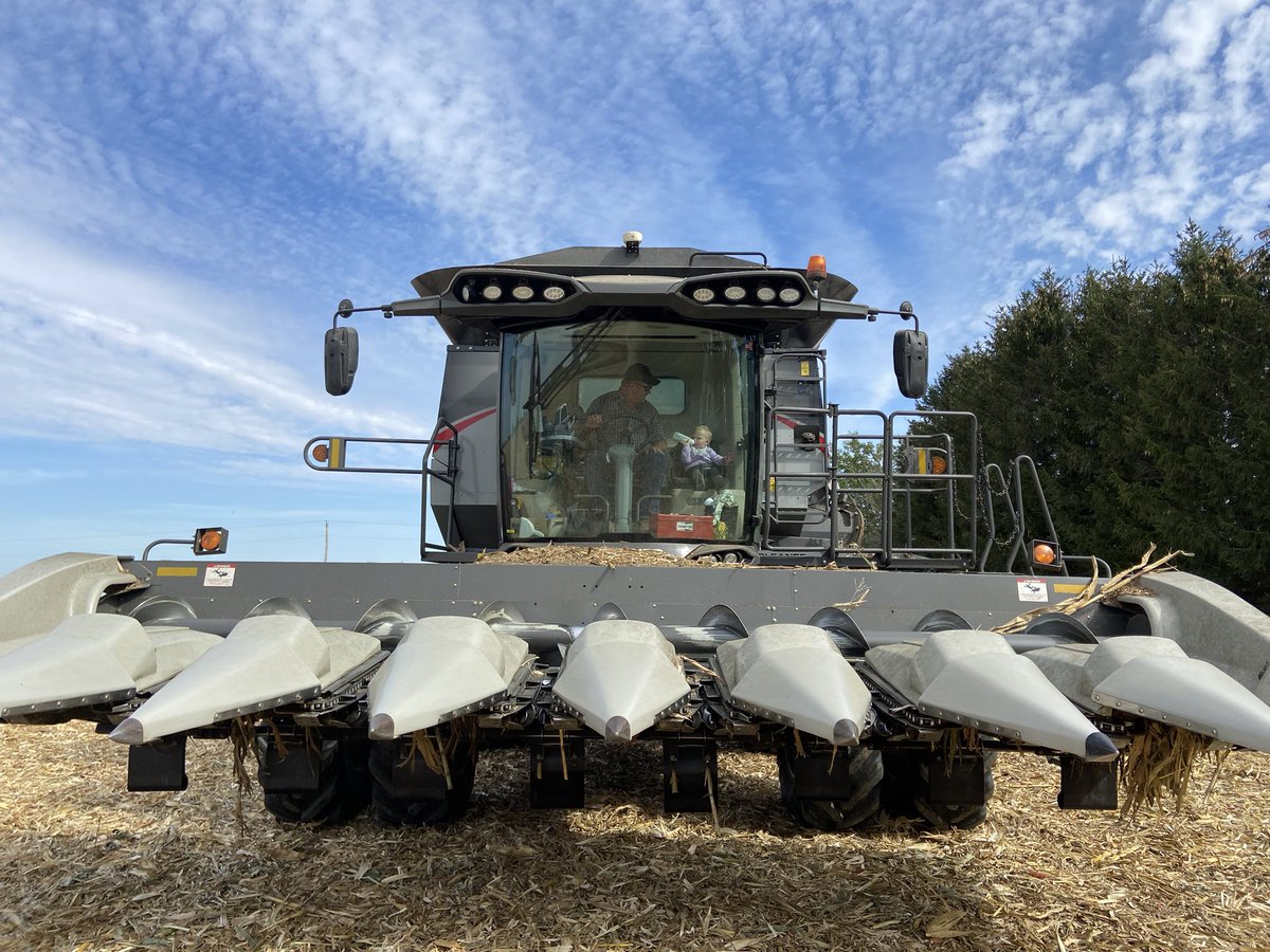 E_k_w's tweet photo. It’s that season again #Harvestime 🌽🌾 https://t.co/SJ6tQMLJXx