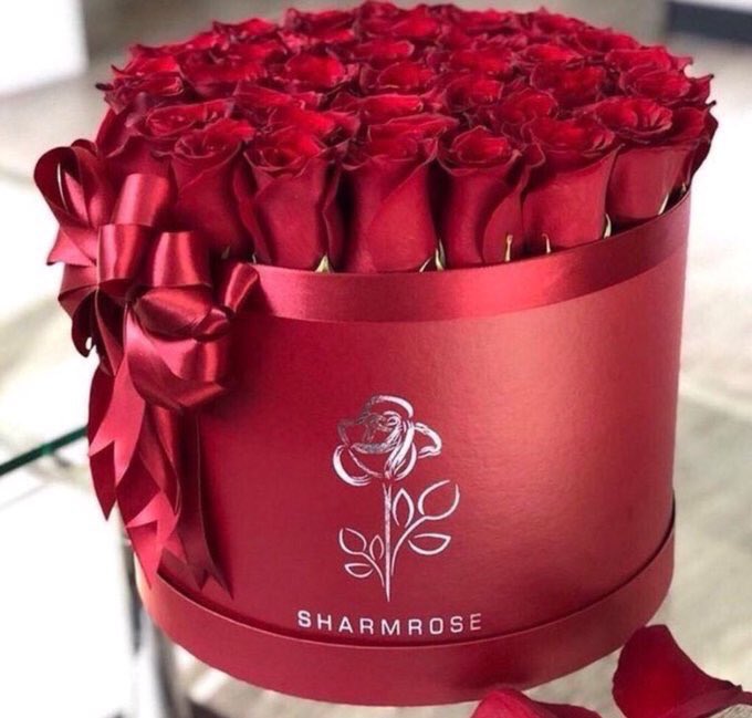 bWy__'s tweet photo. @44ff__ @naif2222578 @rhail222 @Mo_7sanrhl @mmgg2021 @fares__1315 @man__1234 ﮼الله،يسعدكم،ادارتنا،الراقيه،مشكورين،ماقصرتوا،يعطكم،العافيه https://t.co/GUyLeAkISO