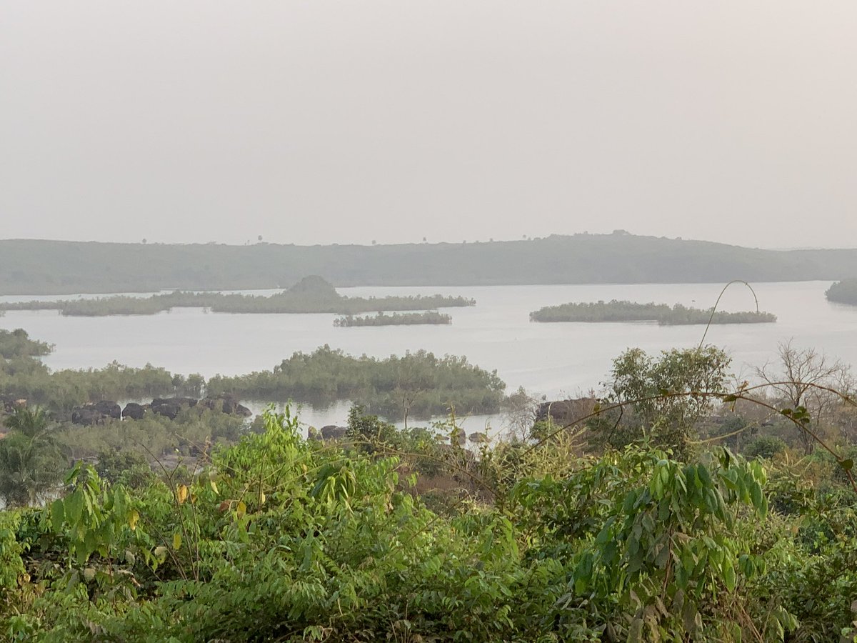 Bonne fête d’indépendance à tous les Guinéens. 63 ans d’une indépendance préservée et assumée. Le travail, la justice et la solidarité sont encore d’actualité pour le développement de la nation. #Guinee63 #CompétencesNationales #RougeJauneVert