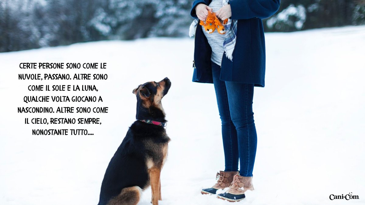 Cani_com's tweet photo. 🐶❤ #cani_com #amiciaquattrozampe https://t.co/nYr4TJ3t6h