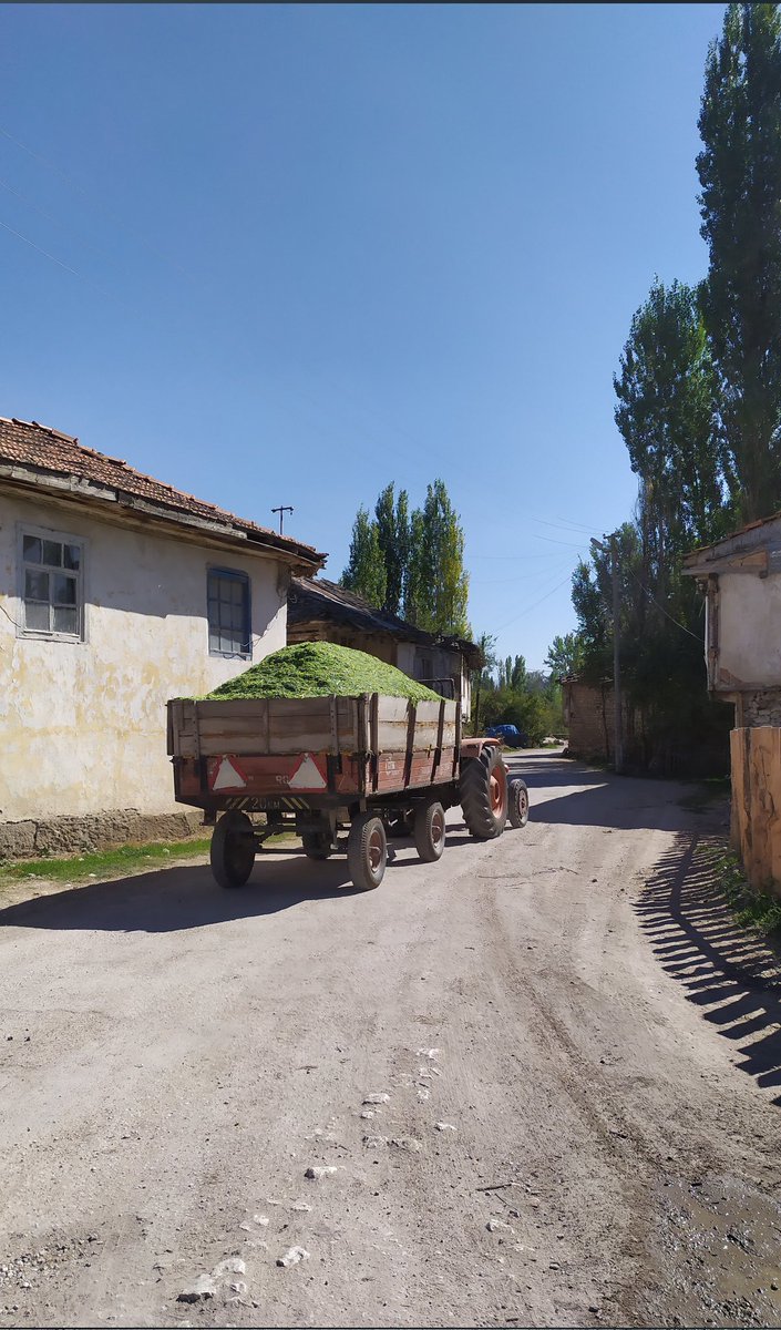 Göğün mavisine, tarlanın sarısına, uzayıp giden sıra kavaklara, berekete, inanca ve vefaya, emeğe, çalışkanlığa, samimiyete, gönül zenginliğine, kanaate ve tevazuya Anadolu demişler..