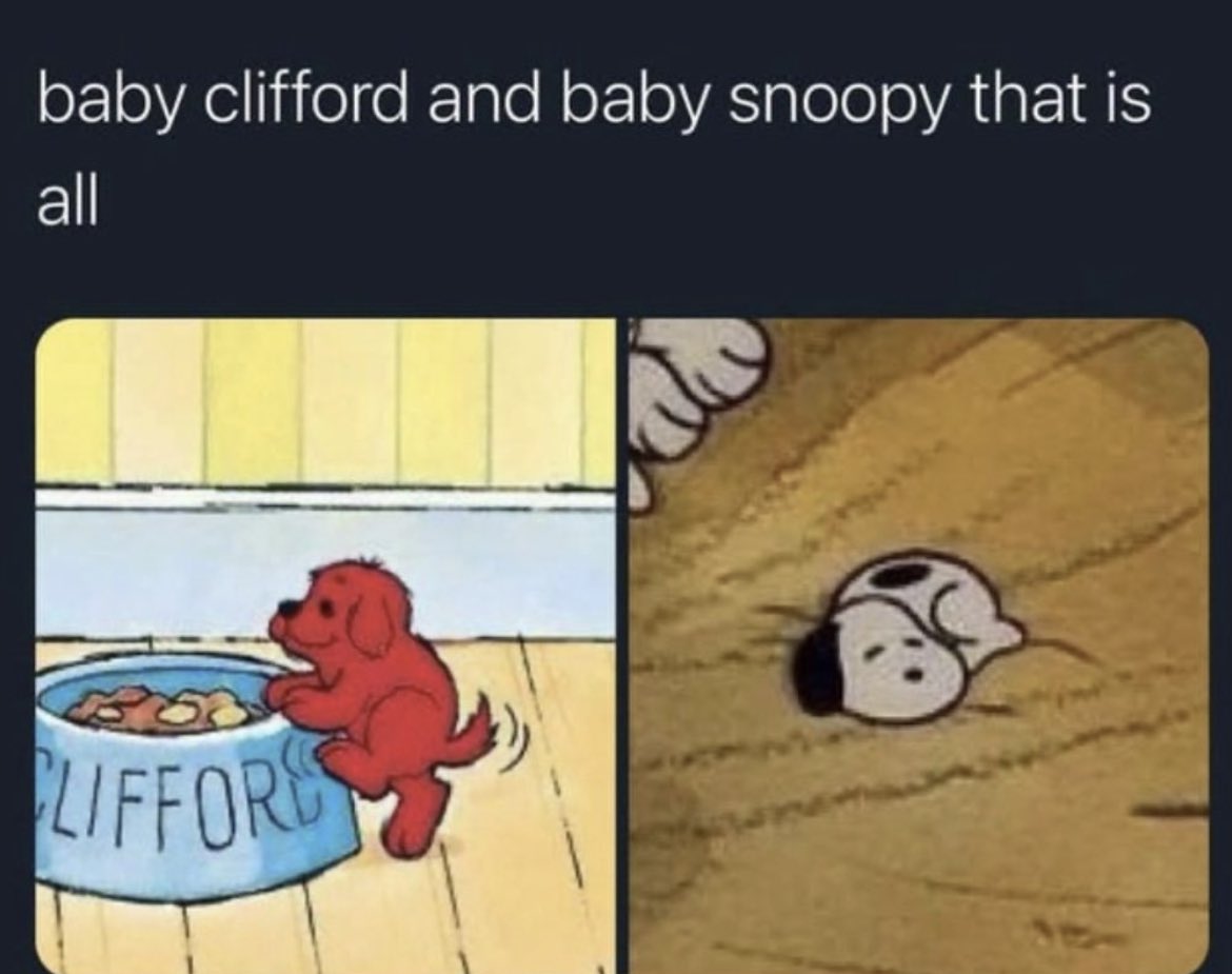 RespectfulMemes's tweet photo. https://t.co/UwNAJXH4LN