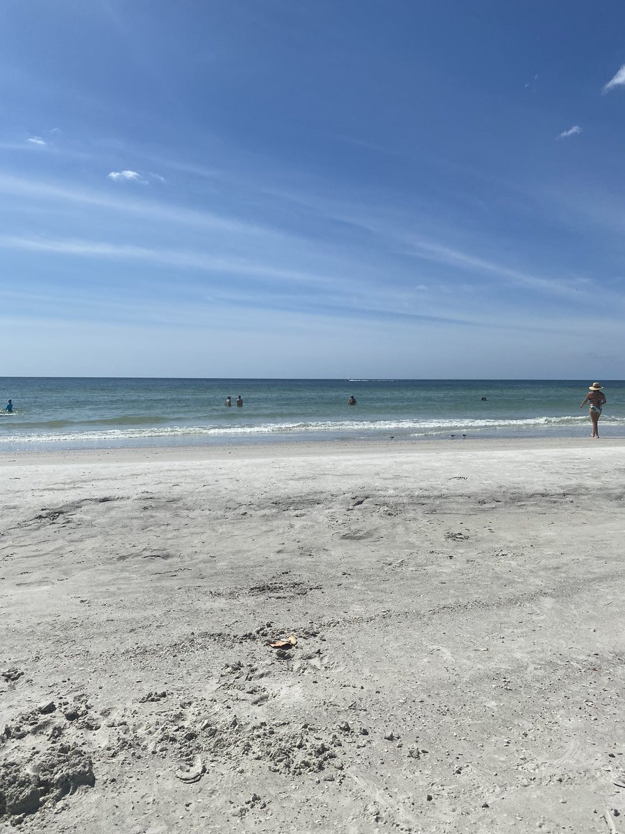 5dda5ee's tweet photo. Beach time https://t.co/JpMDYxotxI