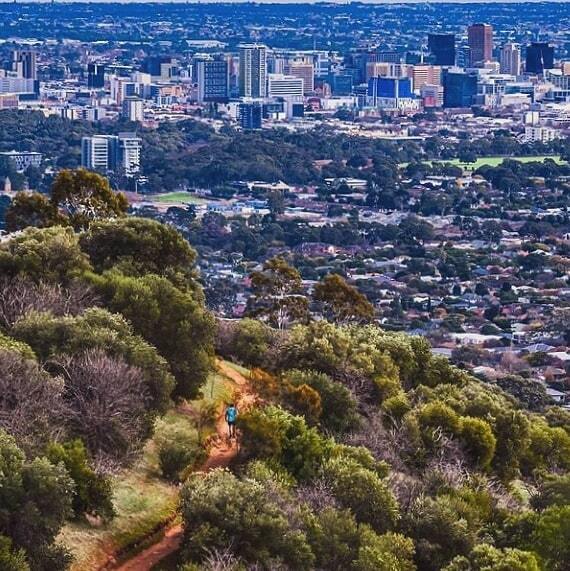 Sunday trail walks anyone?  Don't forget, the library will be closed on Monday October 4 for the long weekend. We will see you Tuesday ☺️

Spectacular shots of Mt. Osmond and more over at @cityofburnside and courtesy of photographer extraordinaire <a href="/nicki/">فنوووو</a>… instagr.am/p/CUi4wqkhuET/