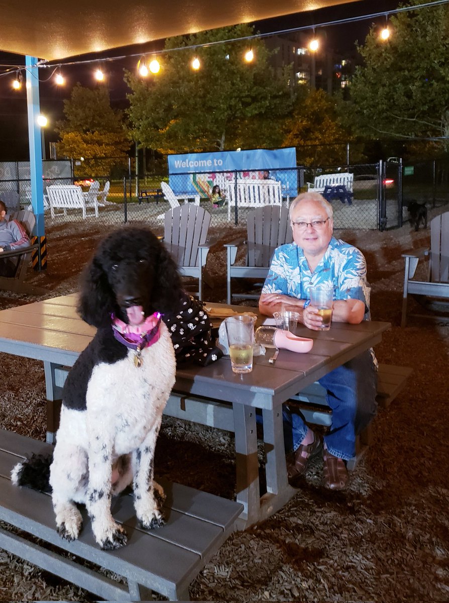 @bark_social Another Saturday night gone to the dogs 🐕 . Loving #BarkSocial #SaturdayNight 
#music #Goodfood 
#dogsoftwitter