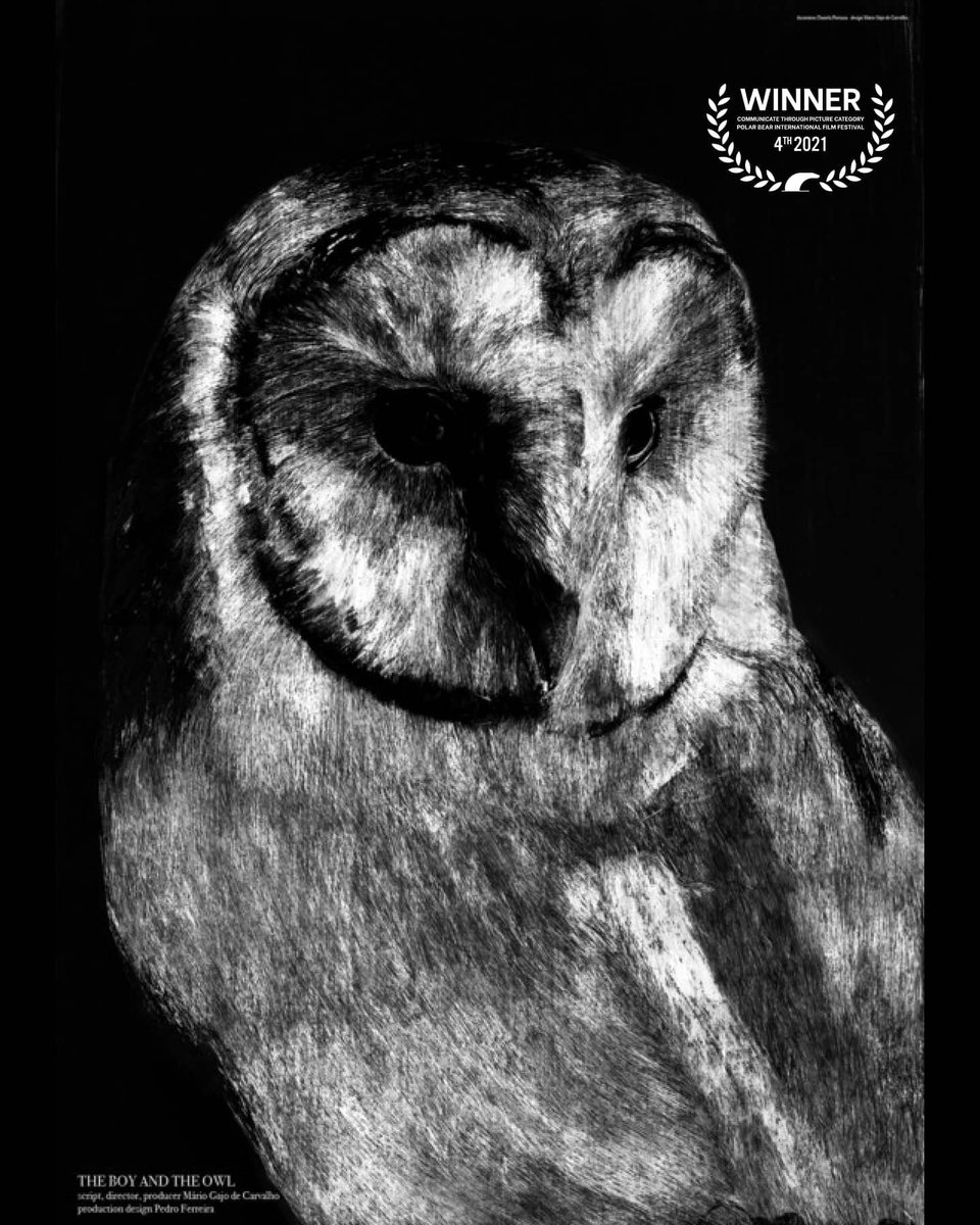 polarbeariff's tweet photo. Winner of Communicate through picture Category 
The boy and the owl from Portugal

Director:

#pbiff #shortfilm #film #asskfilmfestival #festival #movie #animation #motiongraphics #actor #oscar #filmmaker #detdanskefilminstitut #dkkultur #dkfilm #danskfilm #cinemateket https://t.co/lXTWG28lII