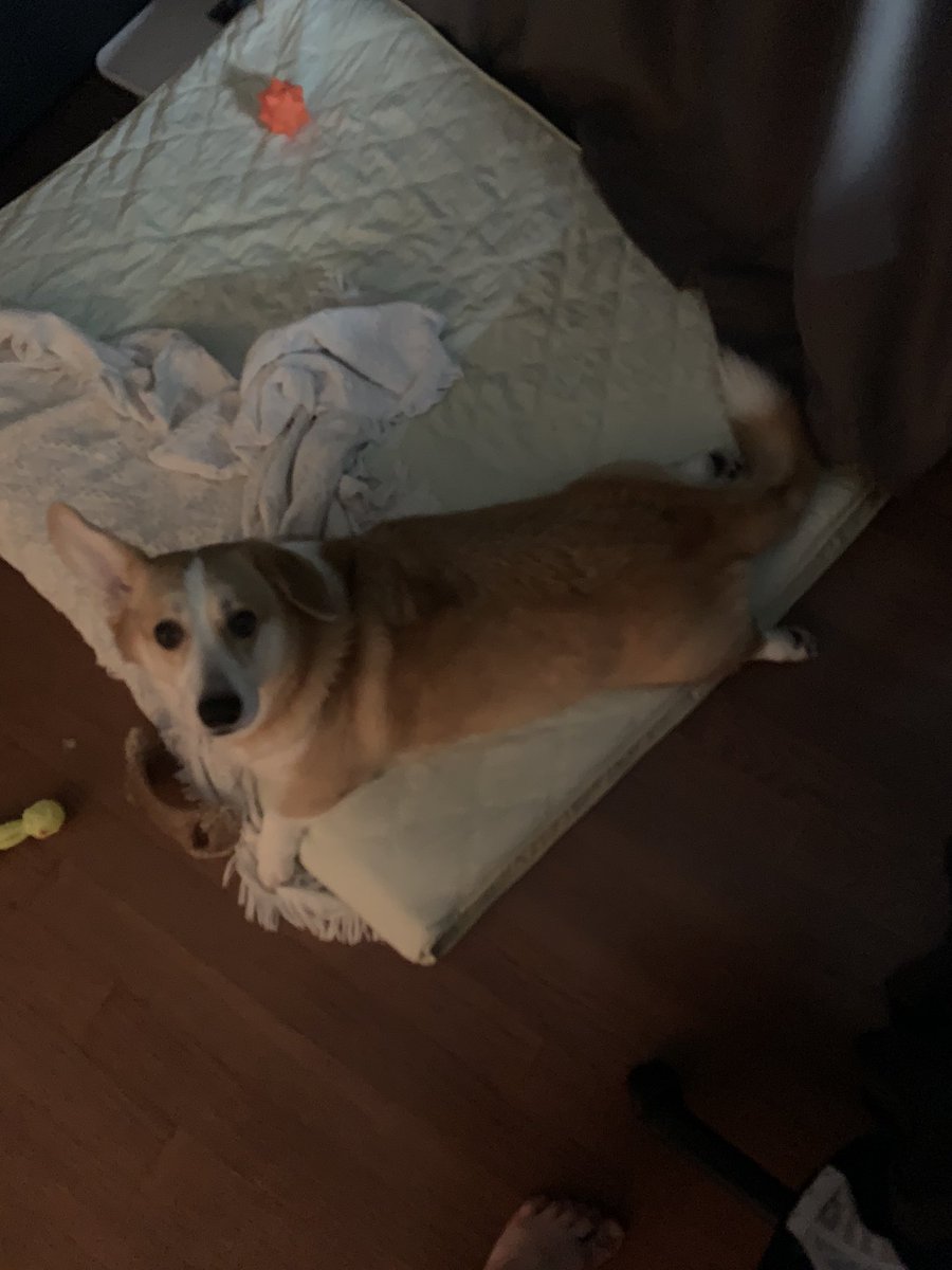 귀여우ㅑ......ㅠ