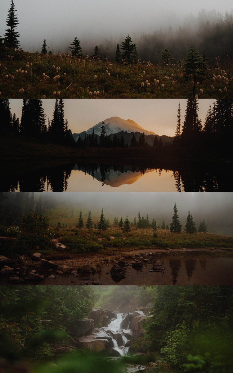 dreamy moments in washington ✨