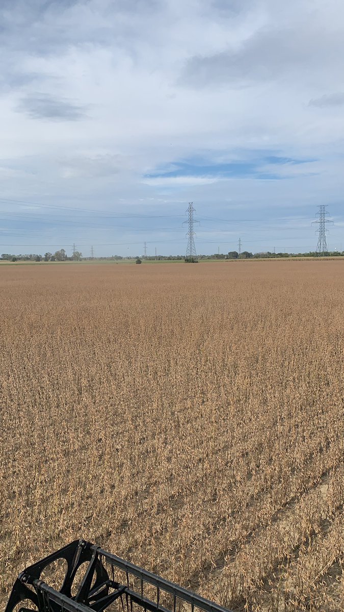 What a nice field of enlist beans!!!!’  Welcome to the future …. Yehaaa!!!
