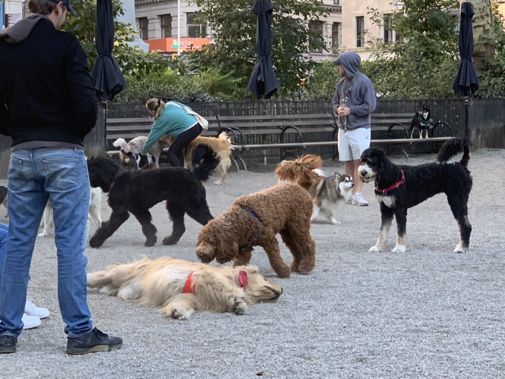 typicalvicky's tweet photo. @MadSqParkNYC so much love https://t.co/nK5VLloORi