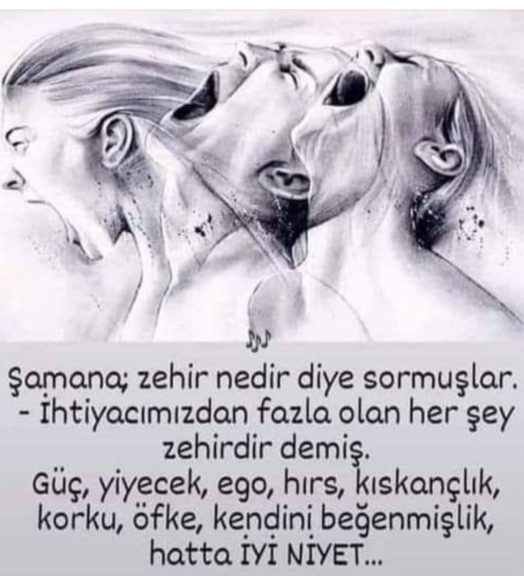 NSAEVK's tweet photo. Zehir... https://t.co/x4tQKgppBc