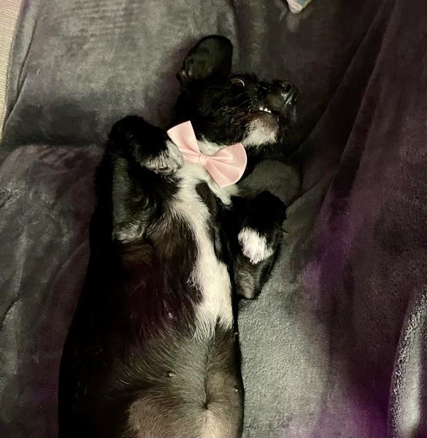 There’s always one drunk at the party.