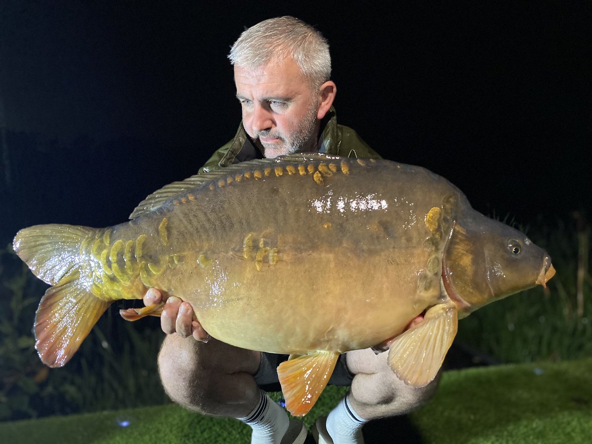 A couple of hours fishing in the back garden and tempted these two beauties out