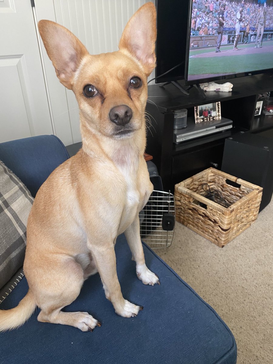 Jester and Judge tweet media