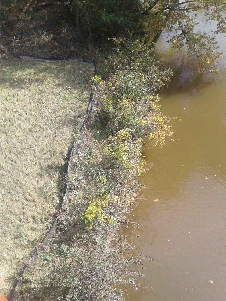 Efymia's tweet photo. @H2OAlliance #AntlerRiverRace  Riparian Zone https://t.co/jeibUnM5B5