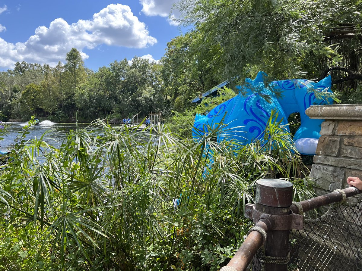 ViewsAndQueues's tweet image. watched kite tails earlier today from Flame Tree. 
Baloo crashed into the trees and it was pretty exciting and fun. way better than harmonious