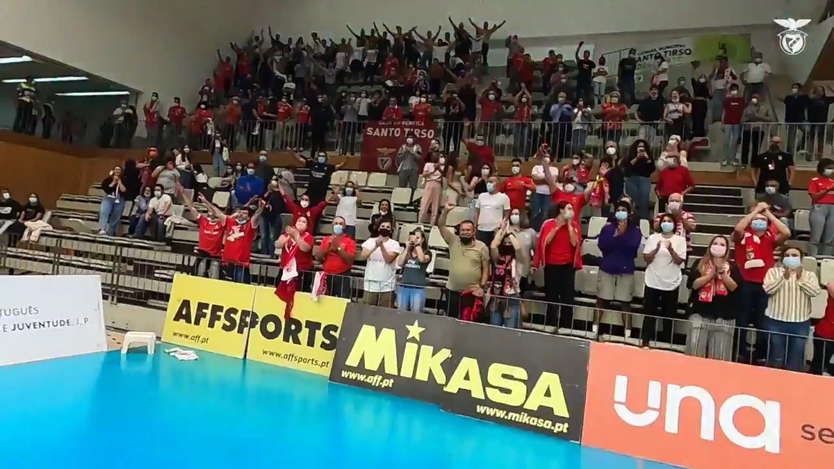 Benfica portimonense livestream