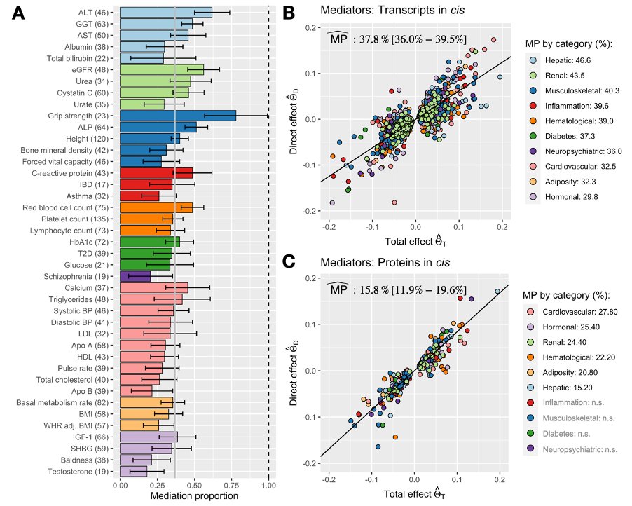 We followed the classical cascade of methylation -&gt; Gene expression -&gt; protein levels -&gt;  complex traits and found several surprises... Detective work spearheaded by <a href="/smarie_smarie/">Marie Sadler</a> &amp; crucial support from <a href="/CAuwerx/">Chiara Auwerx</a> <a href="/ElePorcu/">Eleonora Porcu</a>  biorxiv.org/content/10.110…
