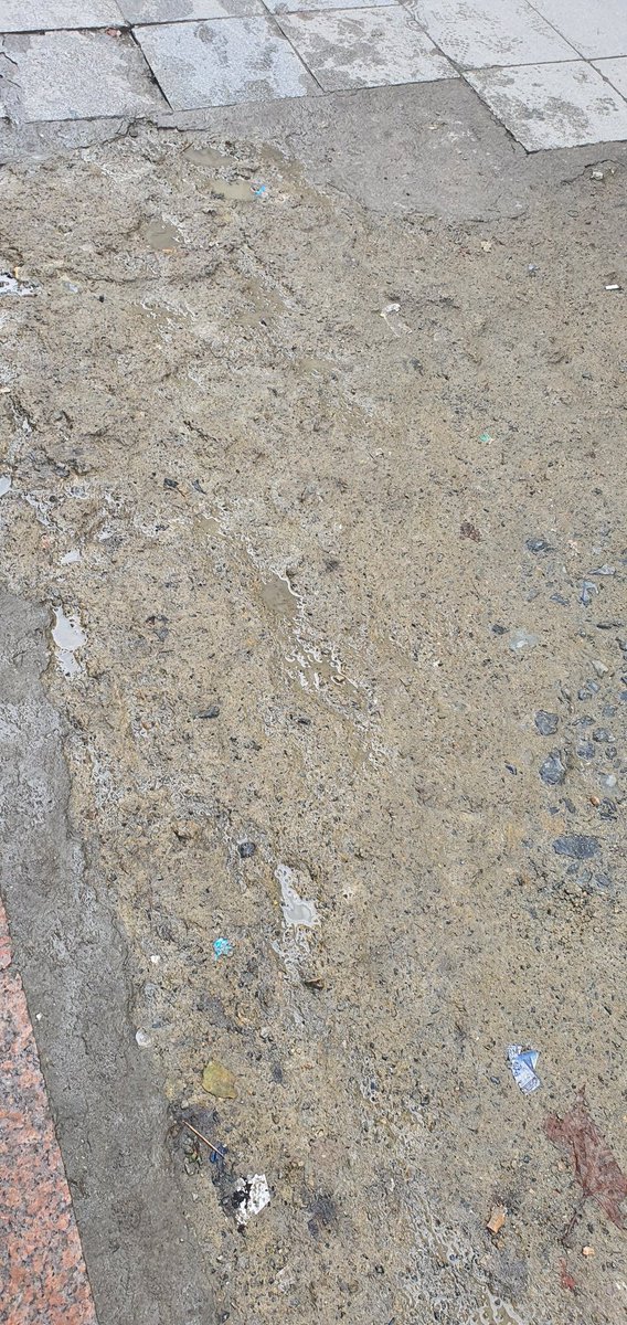 Erdem Erkan tweet media