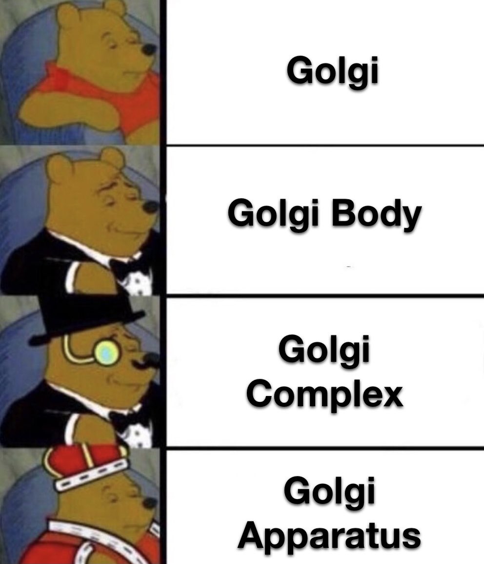 TheGolgiAppa's tweet photo. The hierarchy of my many names  #CellvilleAllen2021 https://t.co/xqEJFVoNjS