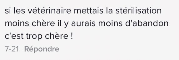 Marialiot_'s tweet photo. C’est mieux de pas prendre d’animaux si vous pouvez pas payer la stérilisation en fait. https://t.co/yqDZadkiCC