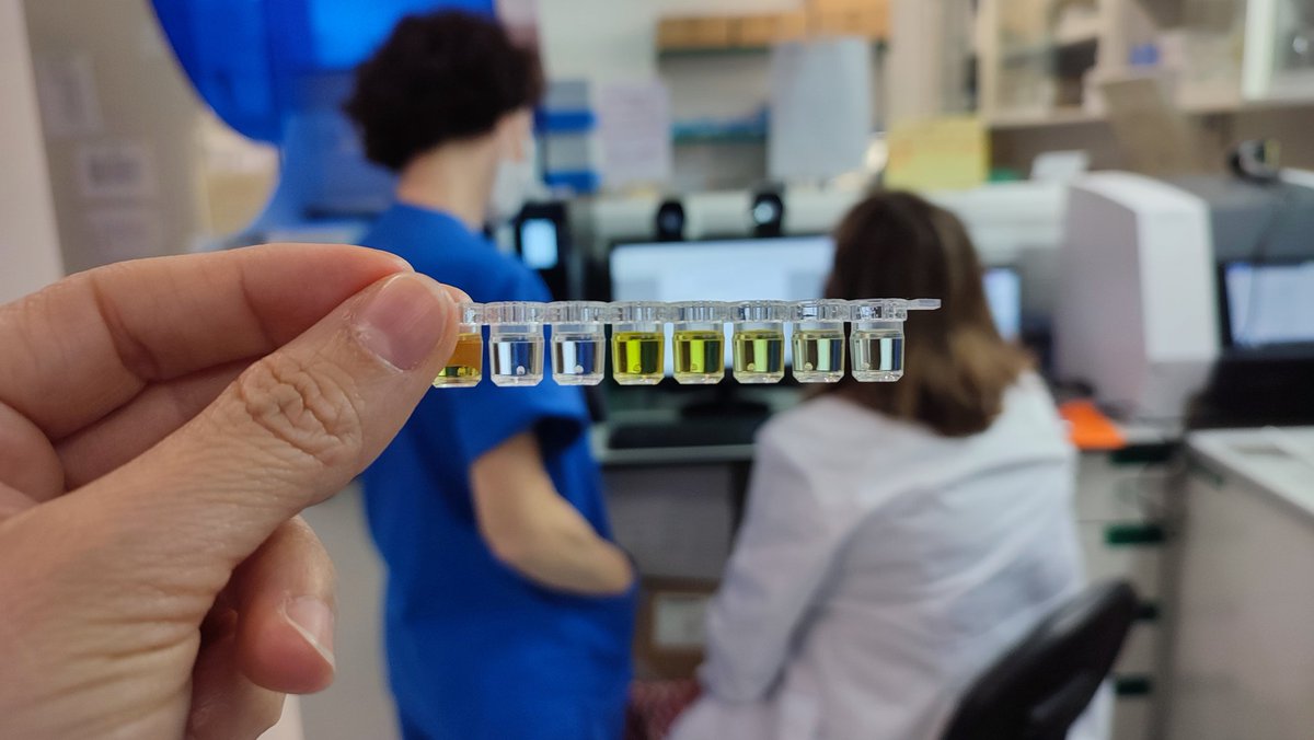 Optimizando nuevas pruebas.🩺
Mejorando la cartera de servicios.🔬 Innovando. En continuo aprendizaje. 👍🏻😀
.
#innovando #aprendiendo #nuevaspruebas #laboratoriodegenetica #laboratorioclinico