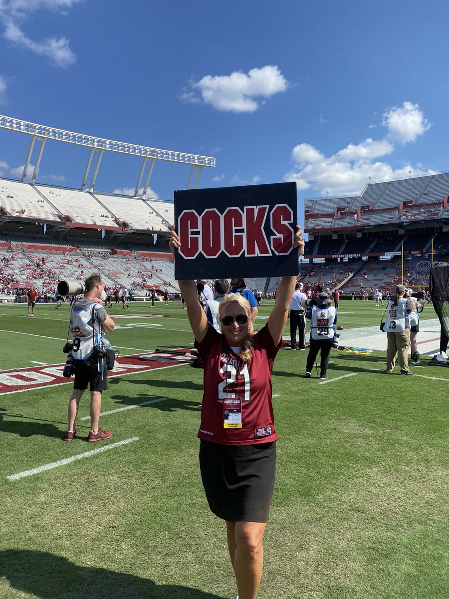 lavsummers tweet media