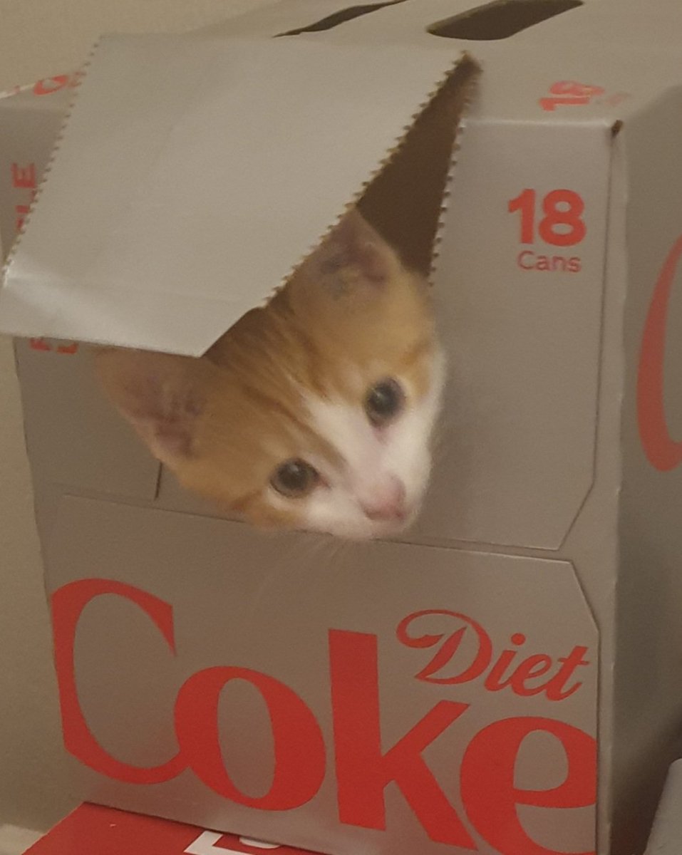 Phillip Llwyd-Evans🏴󠁧󠁢󠁷󠁬󠁳󠁿🏳️‍🌈 tweet media