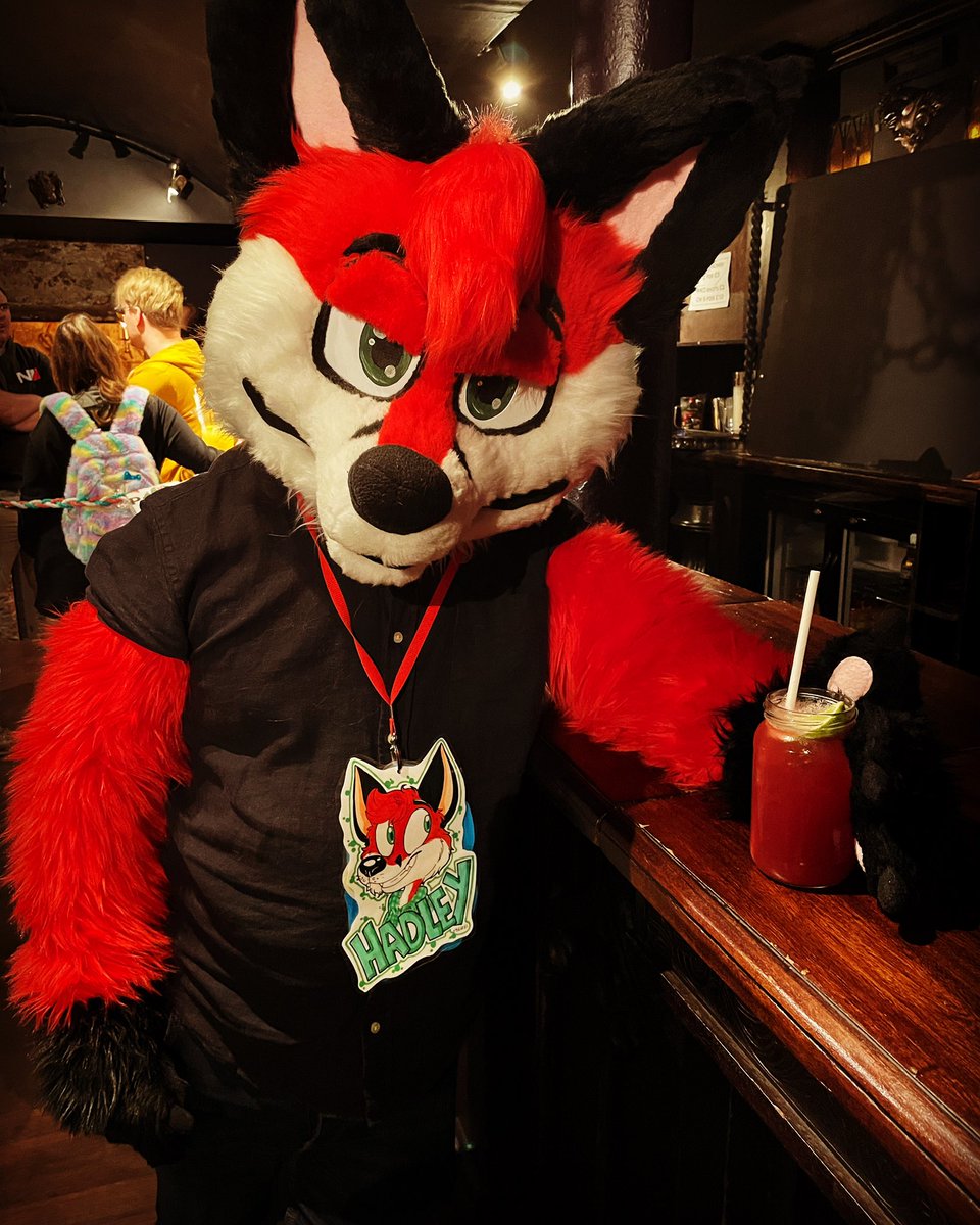 MalakaiDragon's tweet photo. You see the fox at the bar, wyd? π¦πΉ
An awesome picture from @FursNottingham taken by @UnoRaccoon
#furry #fursuit #fursuits #fursuiter #fursuiters #fursona #furryoc #foxfurry #cutefurry #furryfandom #twitterfurs #fursuitfriday https://t.co/CnsRxVtu2w