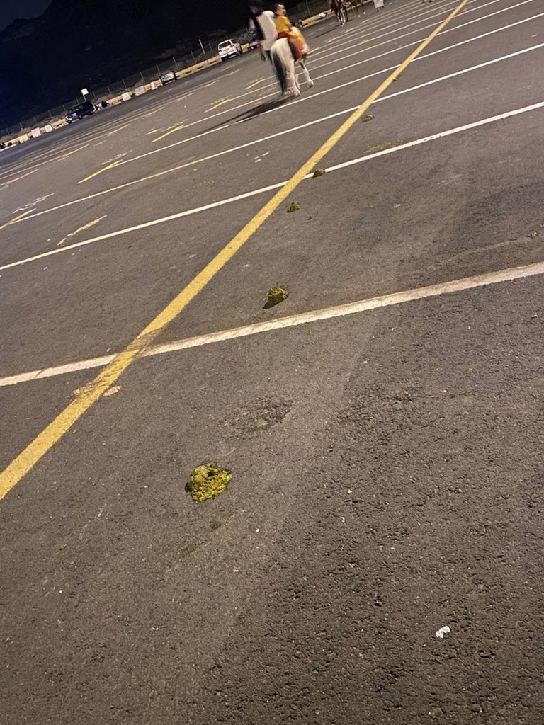 صحيفة سبق الإلكترونية tweet media