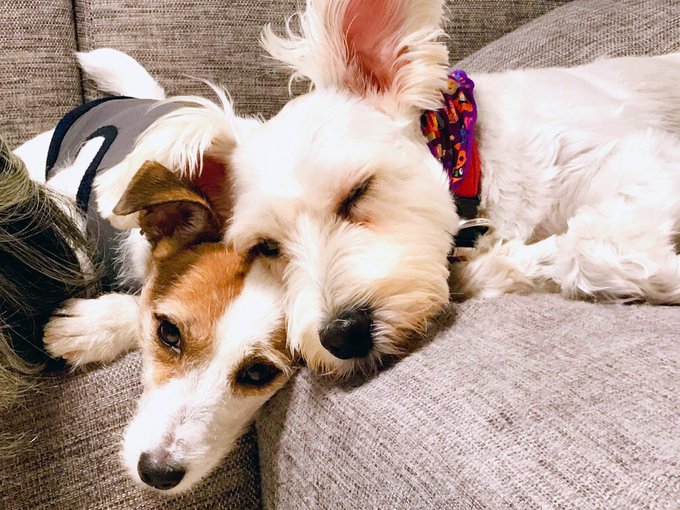 きのうのふたり 