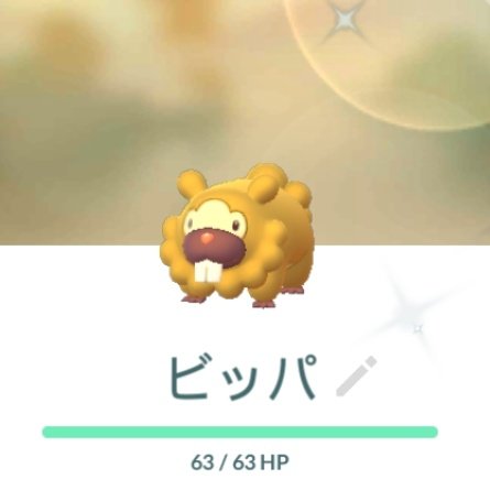ポケモンgo ビッパの色違い 入手方法と実装状況 攻略大百科 ポケモンgo ビッパの色違い 入手方法と実装状況 攻略大百科