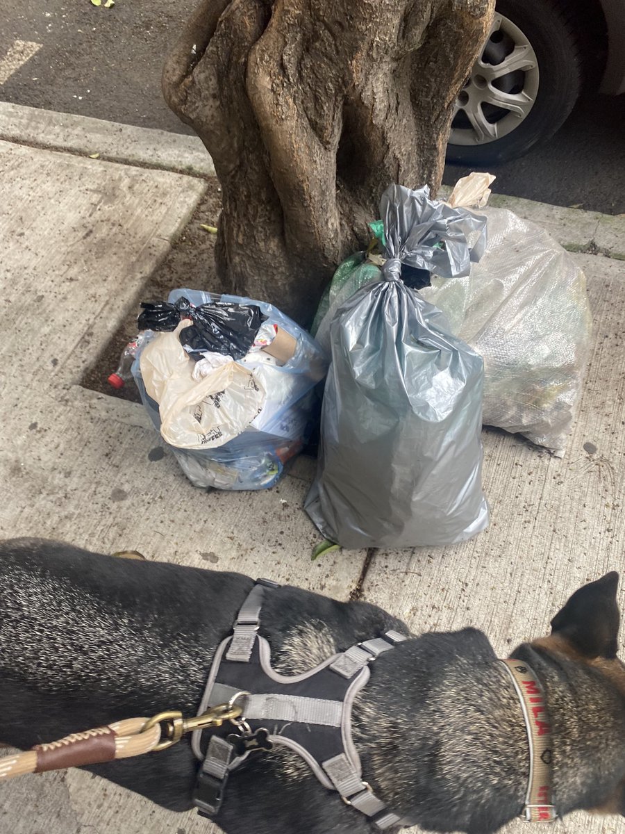 minelule's tweet photo. @LaNapolesCdMx Illinois se está volviendo un basurero, increíble que haya vecinos tan sucios e inconscientes. Limpien y muestren su educación https://t.co/Nwxw1vU597