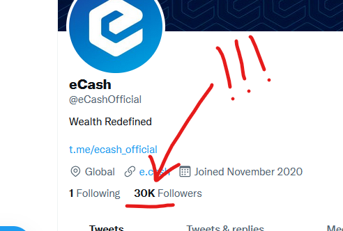 eCash's tweet photo. 30K Twitter followers! 

The eCash army continues to grow! 🚀🚀 

Thank you to all our supporters and followers, you guys rock! 

#eCash #XEC $XEC #eCashArmy https://t.co/42LbYjST4Y