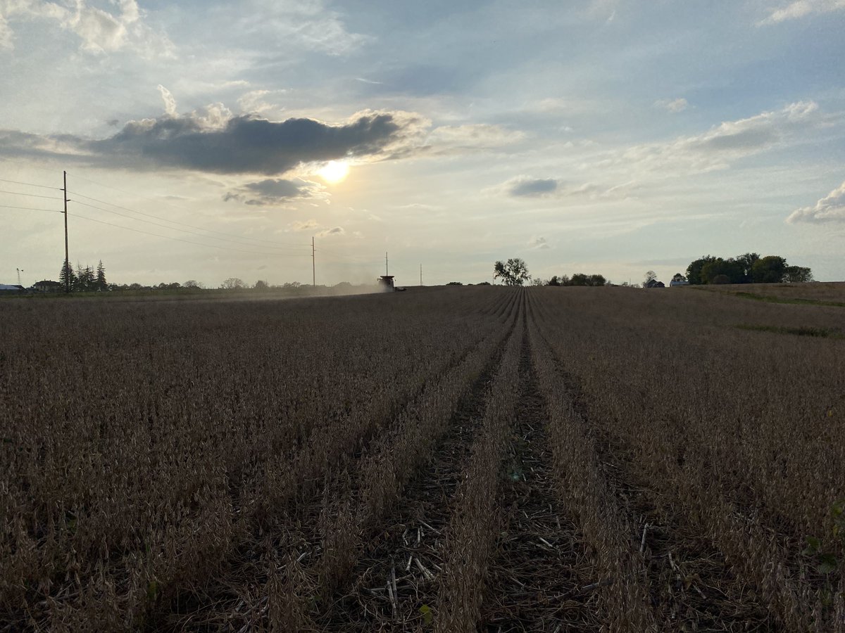 Josh Shofner (@joshshofner) on Twitter photo Back at it! <a href="/PioneerSeeds/">Pioneer Seeds U.S.</a> Enlist E3®️ plot in Winona County this evening! <a href="/gerrad_eide/">Gerrad Eide</a> Back at it! <a href="/PioneerSeeds/">Pioneer Seeds U.S.</a> Enlist E3®️ plot in Winona County this evening! <a href="/gerrad_eide/">Gerrad Eide</a>