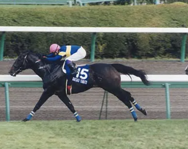 スプリンターズSの思い出馬】 ／ 2000年より 〝ダイタクヤマト