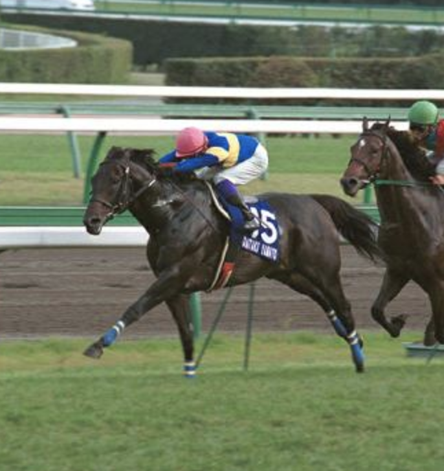 ダイタクヤマト 00年 スプリンターズS 16番人気 的中単勝馬券 最低人気