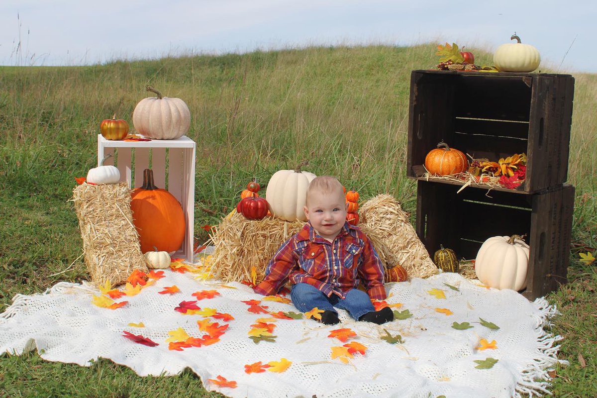 hunterlb712's tweet photo. Just some white people in a field taking fall pictures before the trees turn https://t.co/SCpdCdK81q