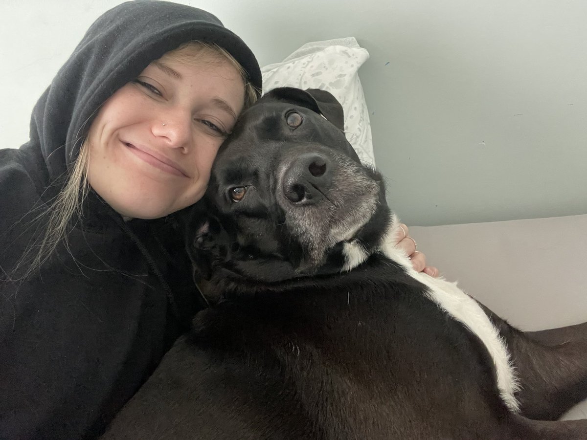 madisonmopesss's tweet photo. it’s zoe’s 4th borkday : please celebrate accordingly ♥️♥️♥️♥️♥️ https://t.co/BdkImfjL9S