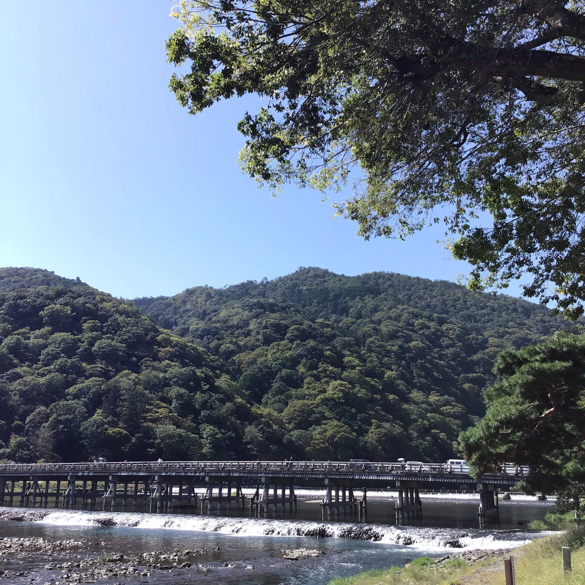 レストラン嵐山 R Arashiyama Twitter
