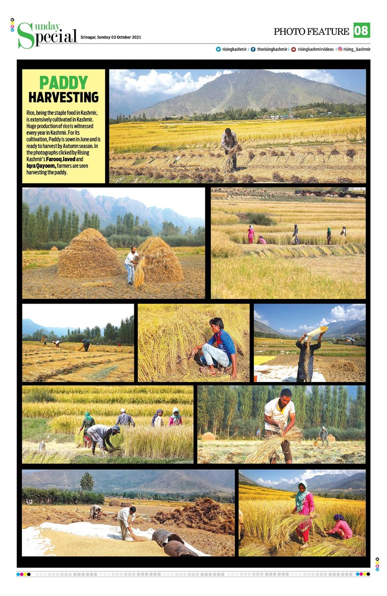 RisingKashmir's tweet photo. Part 3

Download your personal copy at

https://t.co/mmmqossofV https://t.co/PdPlIOg8eM