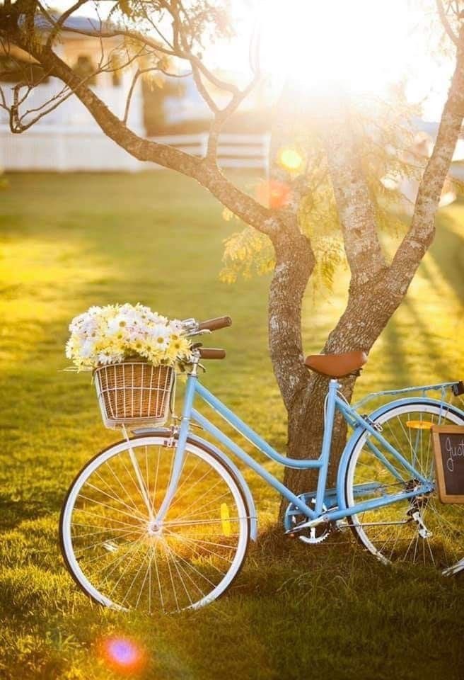 في وريدِ الـصـباح .. 💛
 نــــــــورٌ ينتظرُ أنْ يتجهُ إليهِ قلبكْ ❥❀┈
فلا تـــدعـه يختفي دونَ أن تخـتلس منهُ ضـوءاً يسُعدك ○❍
و يمنحك زاداً لـحياةٍ أجمَل..✿◠‿◠
                           ❥❍●○•°