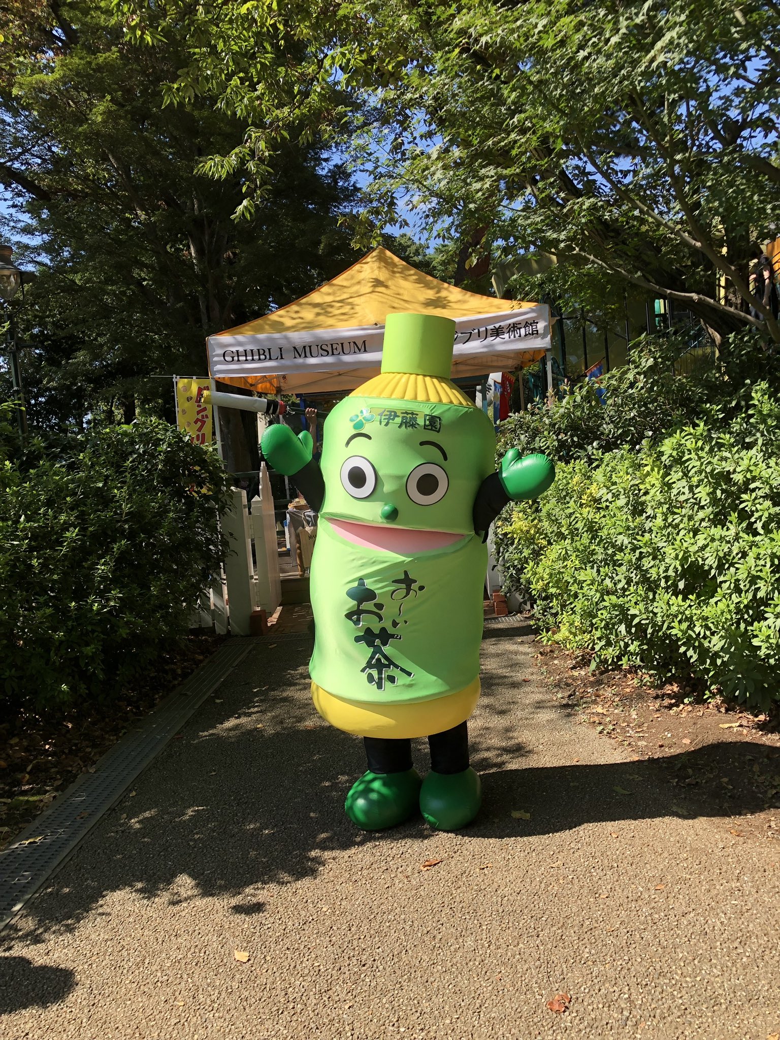三鷹の森ジブリ美術館 市民デーでの特別企画で 井の頭公園側に出現している方が 次は14時頃に歩いてるようです 館内では抹茶の体験もできます T Co Lmhm3zntp7 Twitter