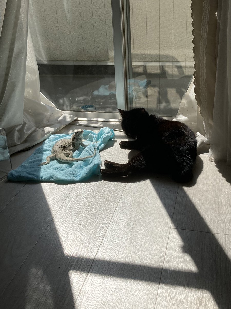 ほのぼの休日。