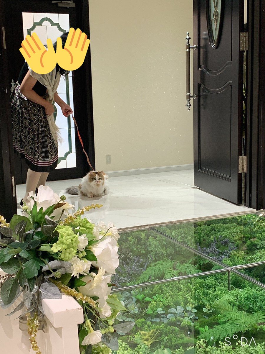 to_masgatianti's tweet image. 昨日結婚式終えましたー！
手作りだらけの結婚式だったけど無事に終わってよかった！
動画もみんなからお褒めの言葉を頂戴したので満足🙌
リングキャットは案の定座り込みました！w
武器は@CosModeling さんに作ってもらいました！ありがとうございます！
#FF14   #FFXIV  #結婚式   
#リアルエタバン