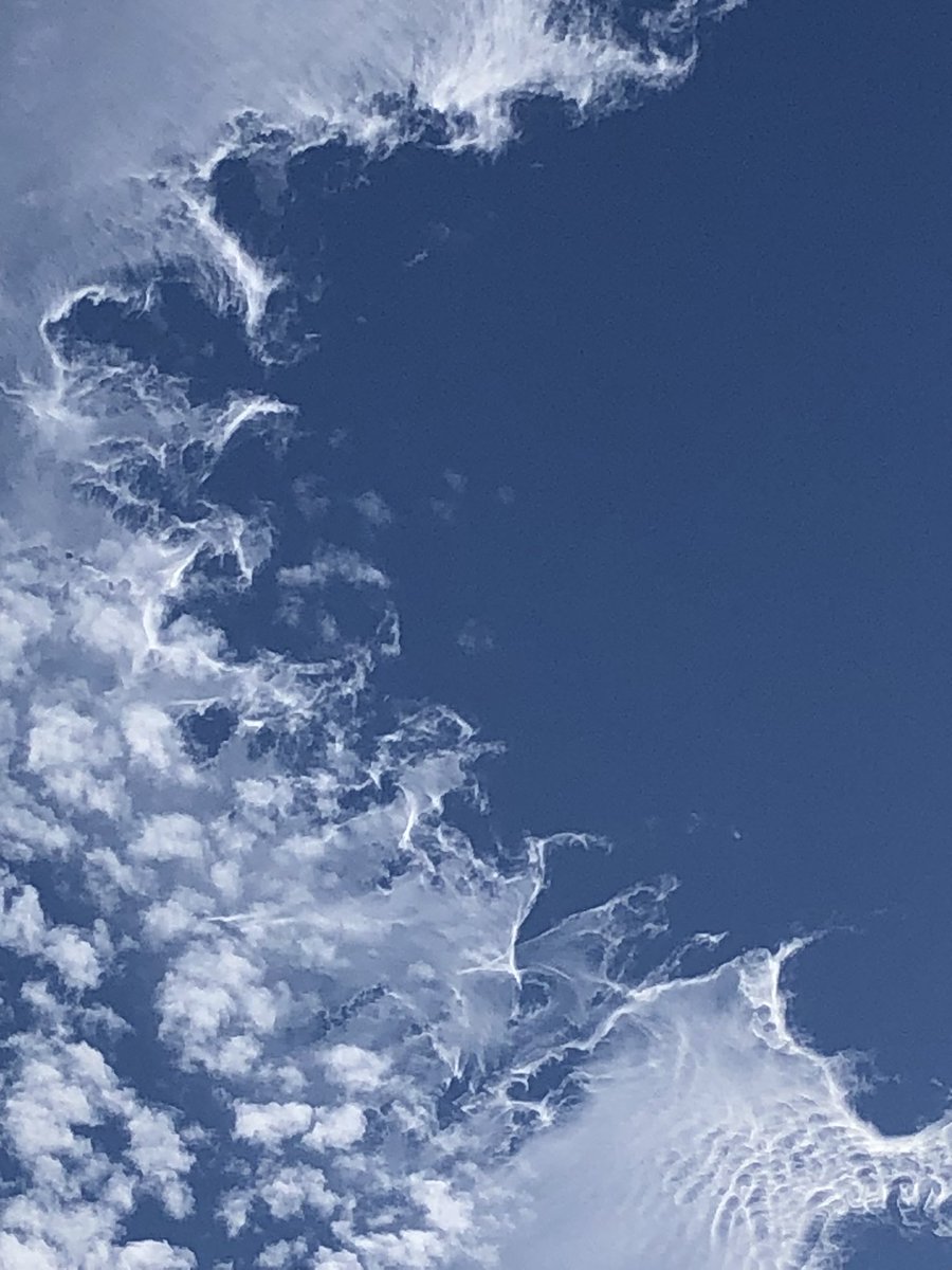 rwogrin's tweet photo. @NWSSeattle very cool clouds this afternoon above Shoreline. What kind are they? https://t.co/FeI7VElbXt