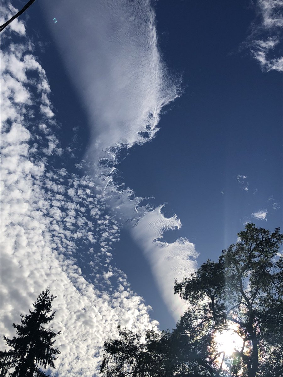 rwogrin's tweet photo. @NWSSeattle very cool clouds this afternoon above Shoreline. What kind are they? https://t.co/FeI7VElbXt